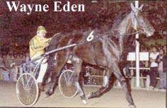 Wayne Eden